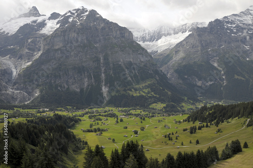 Chalets in fields beneath Schreckhorn in Switzerland © davidyoung11111