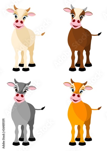 four isolated illustrated cows