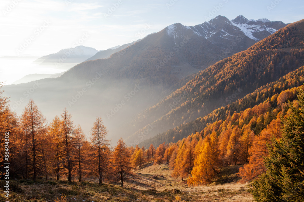 vallata alpina in autunno