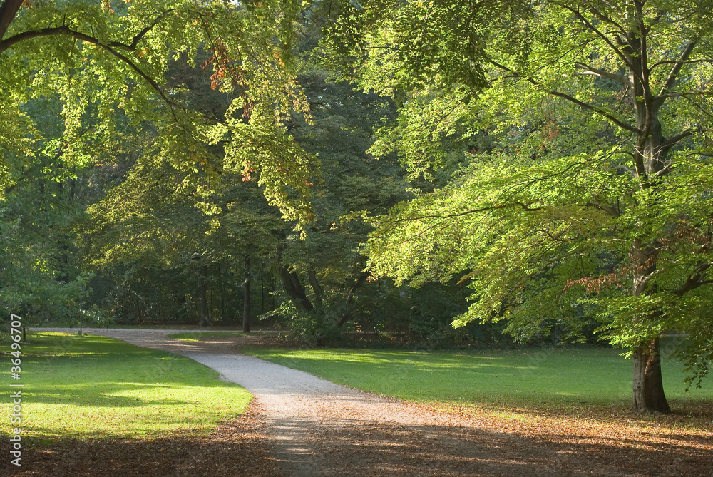 Fototapeta premium Early Autumn Lane