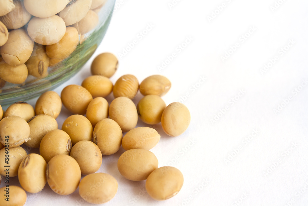 soybean in bottle isolated on white background soybean in bottle isolated on white background