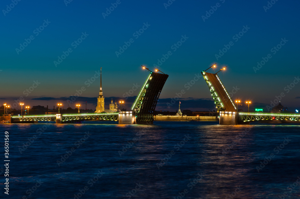 Night view of Palace Bridge, Saint Petersburg, Russia