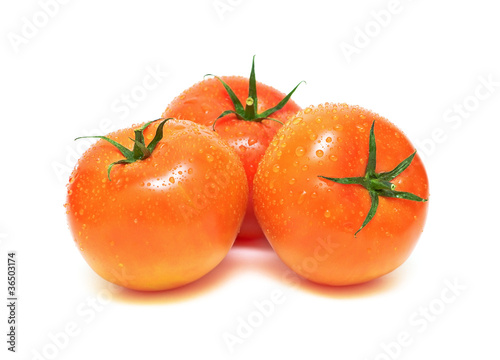 tomatoes in water droplets on a white background