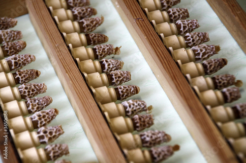 Weiselzellen für die Zucht von Bienenköniginnen photo