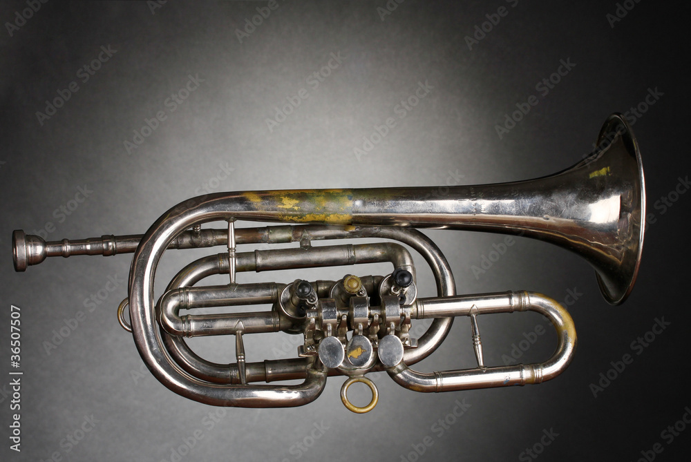 Obraz premium old trumpet on gray background