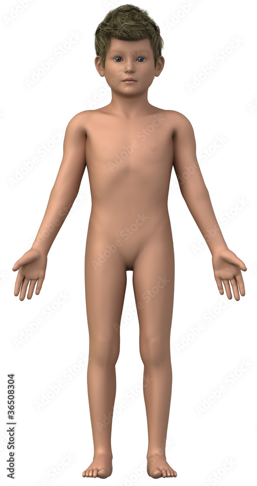 Fototapeta premium Naked boy in anatomical position isolated