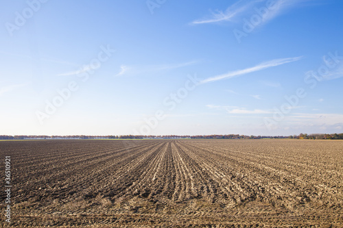 Dutch agriculture landscape with blue sky