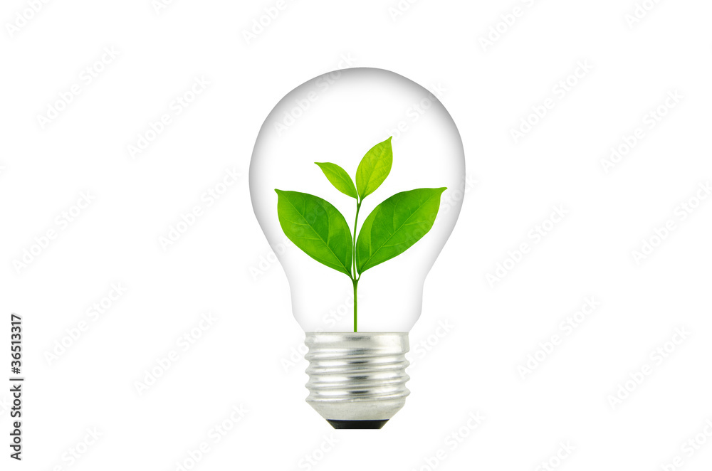 Light Bulb with sprout inside plant Light Bulb with sprout inside plant