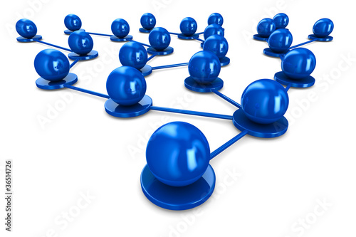 network on white background...