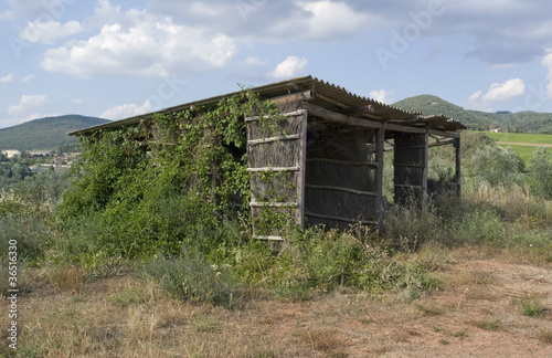 rundown shed near San Regolo in Chianti photo