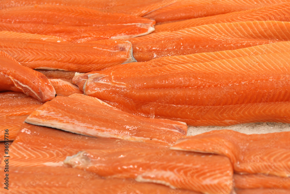 salmon 5 salmon 5