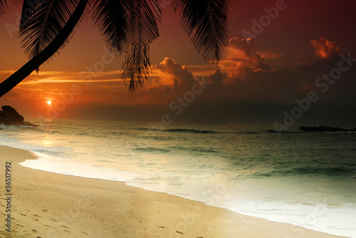 Sunset on Sri Lanka #36517992