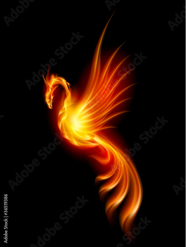Burning phoenix #36519386