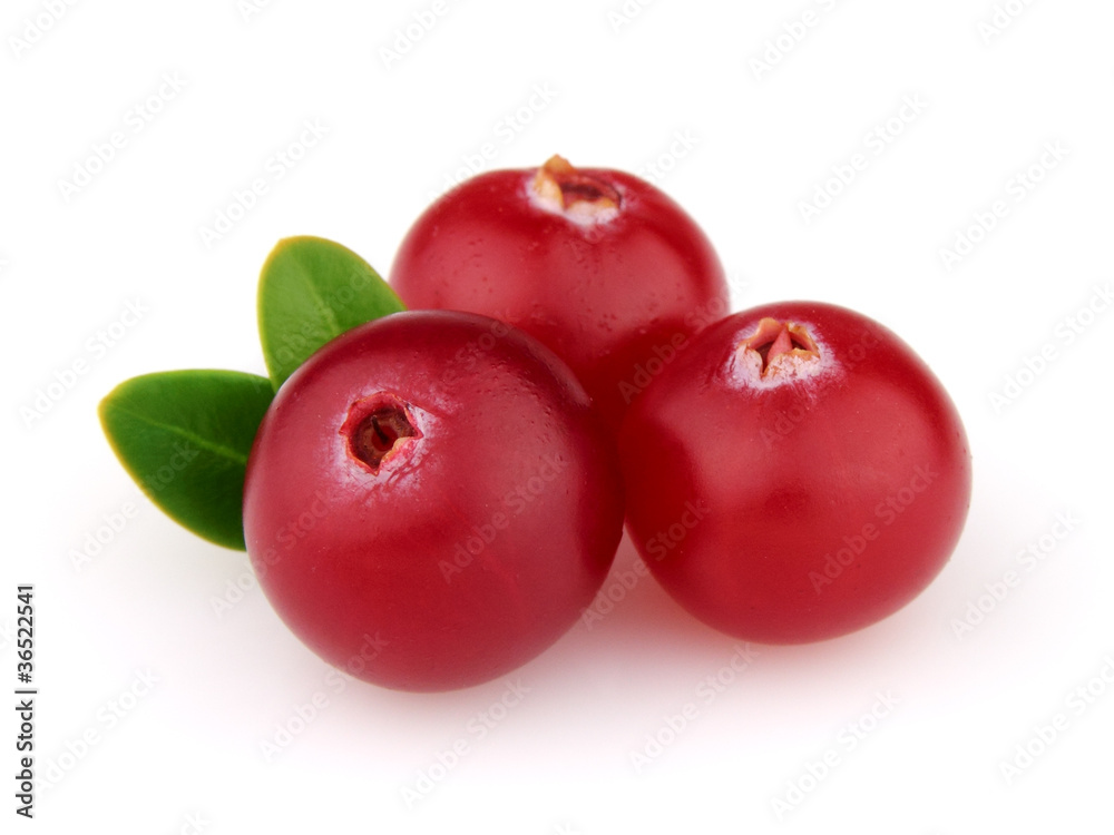 Cranberry with leaves Cranberry with leaves
