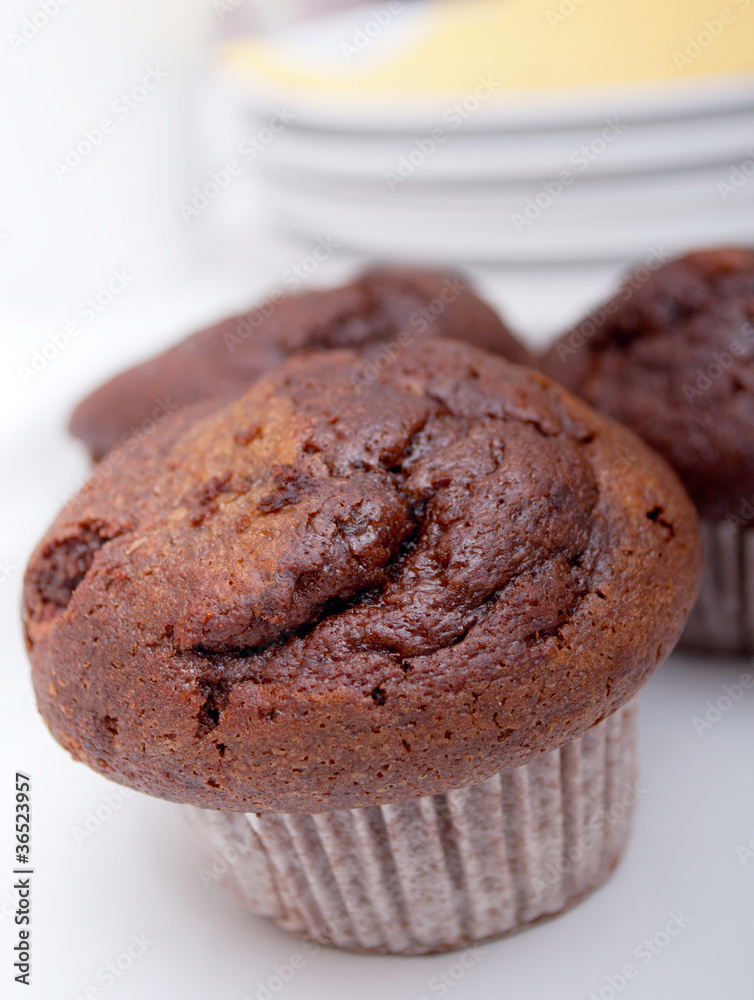 Chocolate Muffin Chocolate Muffin