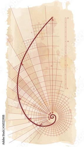 Golden Ratio (Golden Proportion)