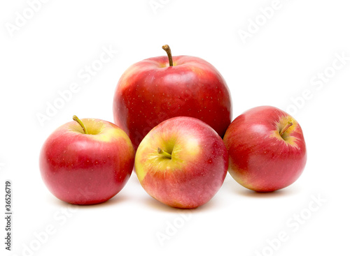 four red apple on white background