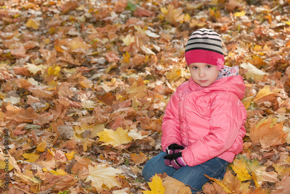 Serious little girl in the yellow leaves