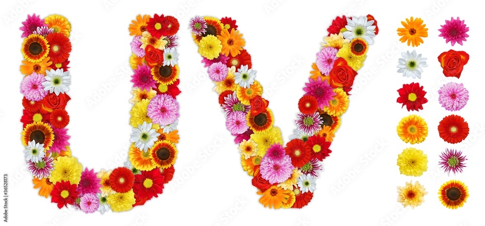 Characters U and V made of various flowers Characters U and V made of various flowers