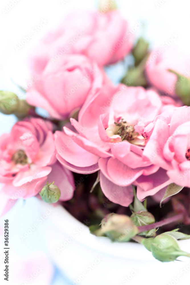 nice flowers nice flowers