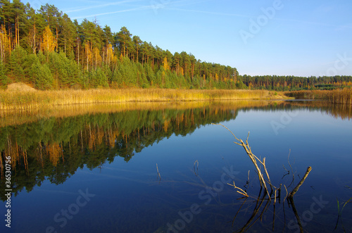 Fototapeta Naklejka Na Ścianę i Meble -  Calm lake - autumn