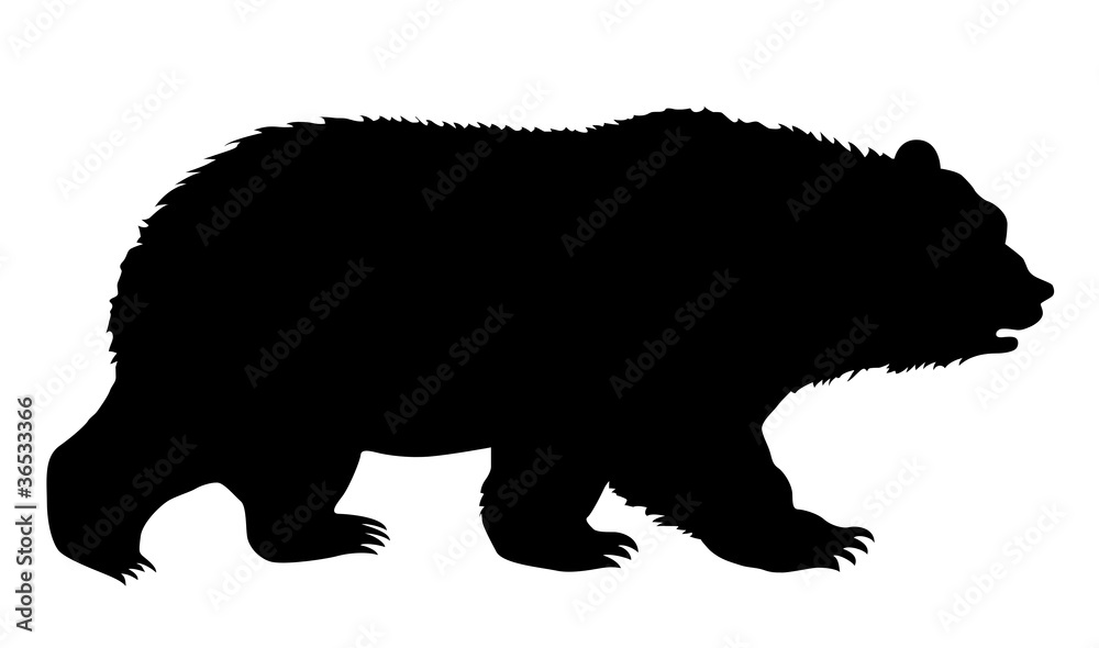 Obraz premium silhouette bear on white background