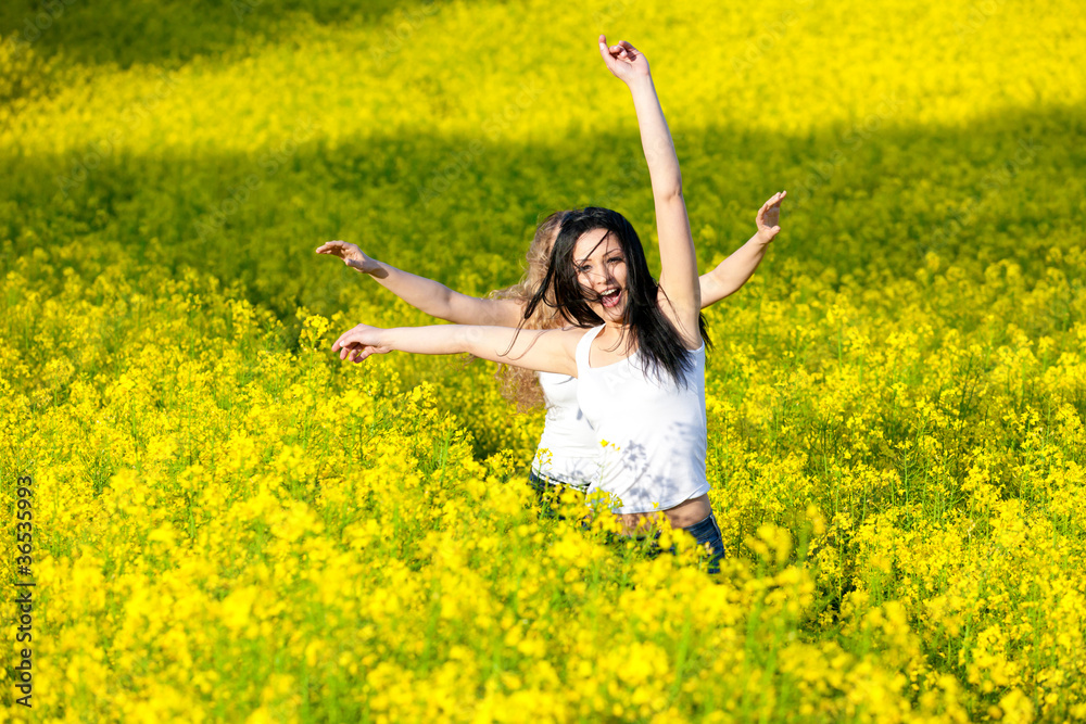 Naklejka premium Summer Meadow