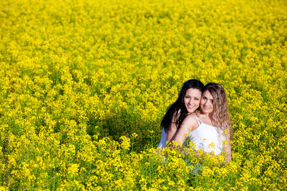 Summer Meadow Summer Meadow