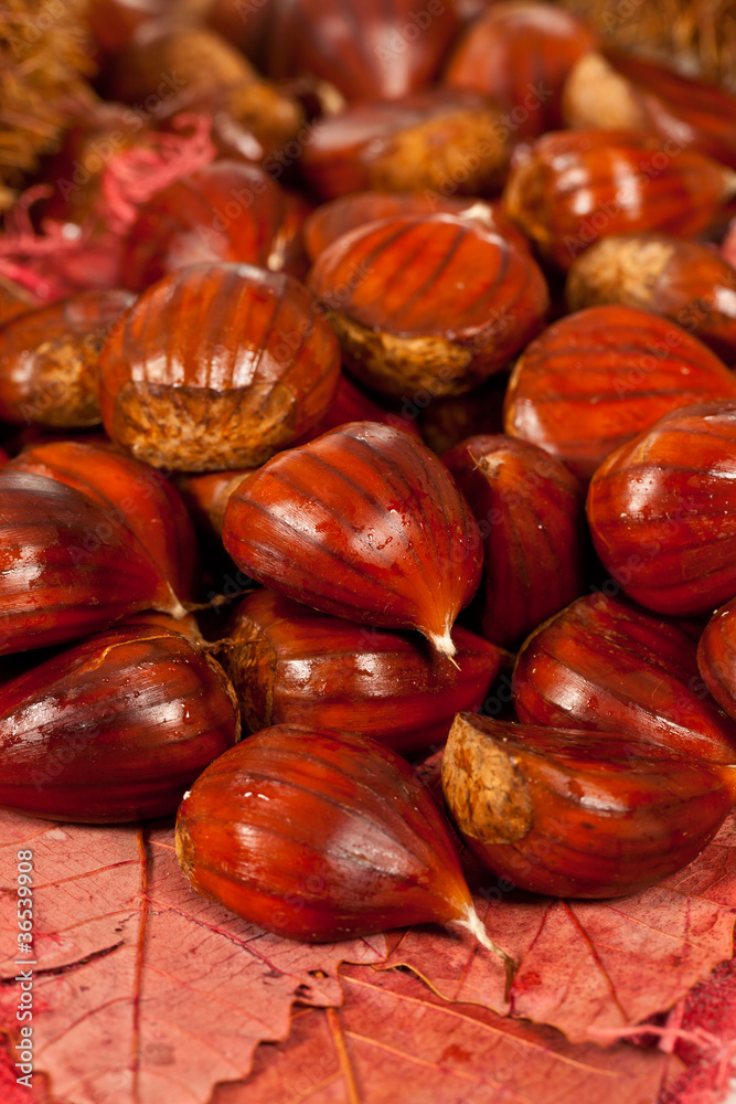 Obraz premium Chestnuts