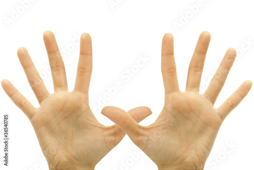 hand gestures isolated on a white