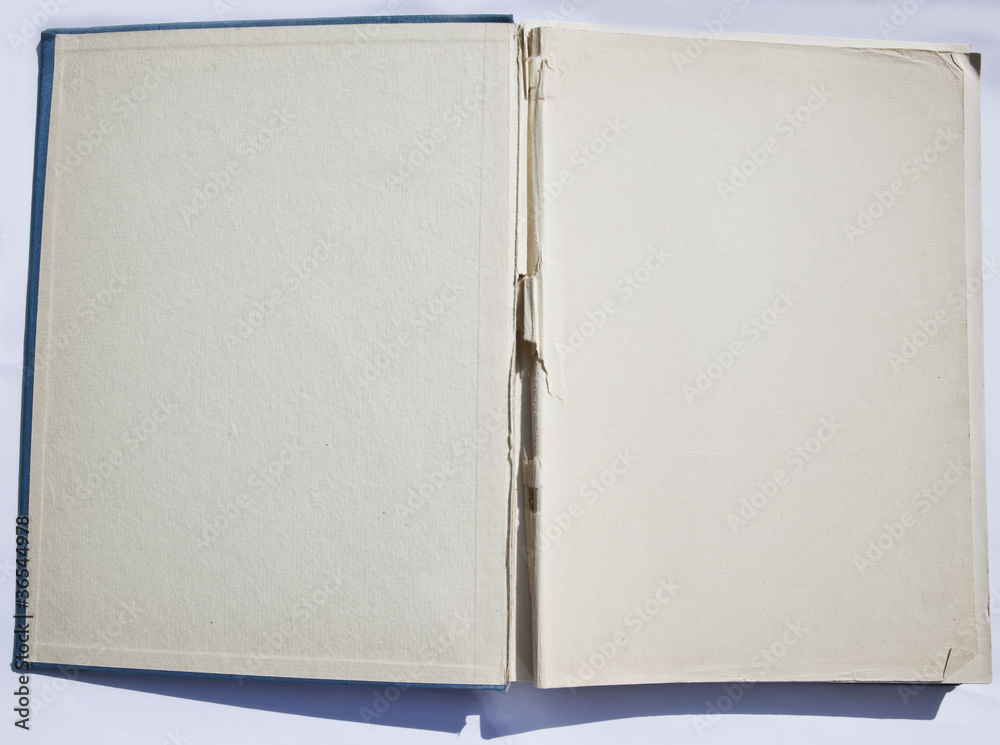 custom made wallpaper toronto digitalThis is a reversal of the old book