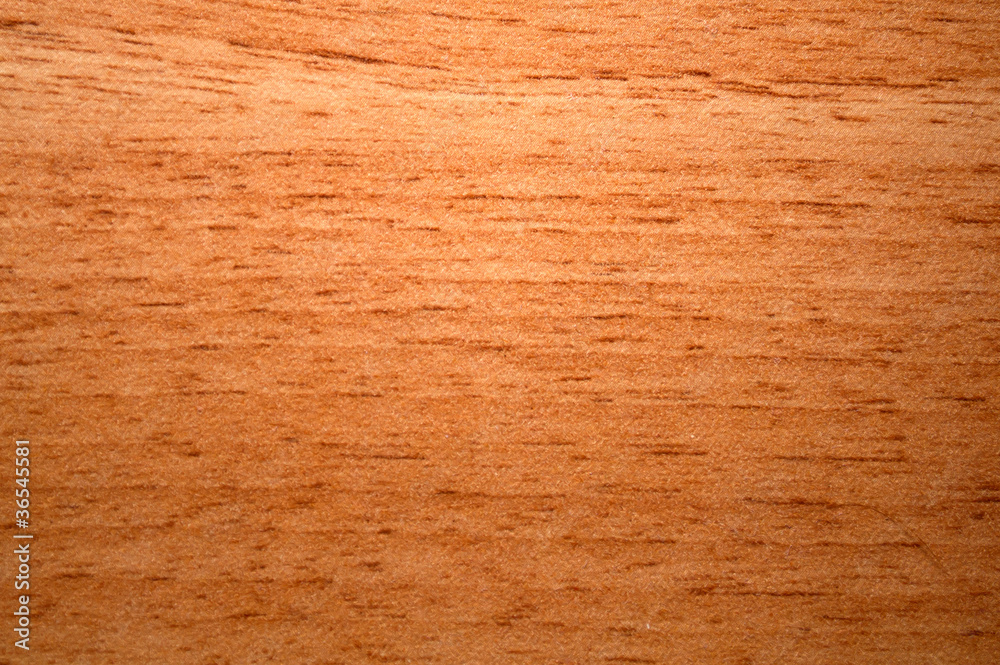 Fototapeta premium Дерево