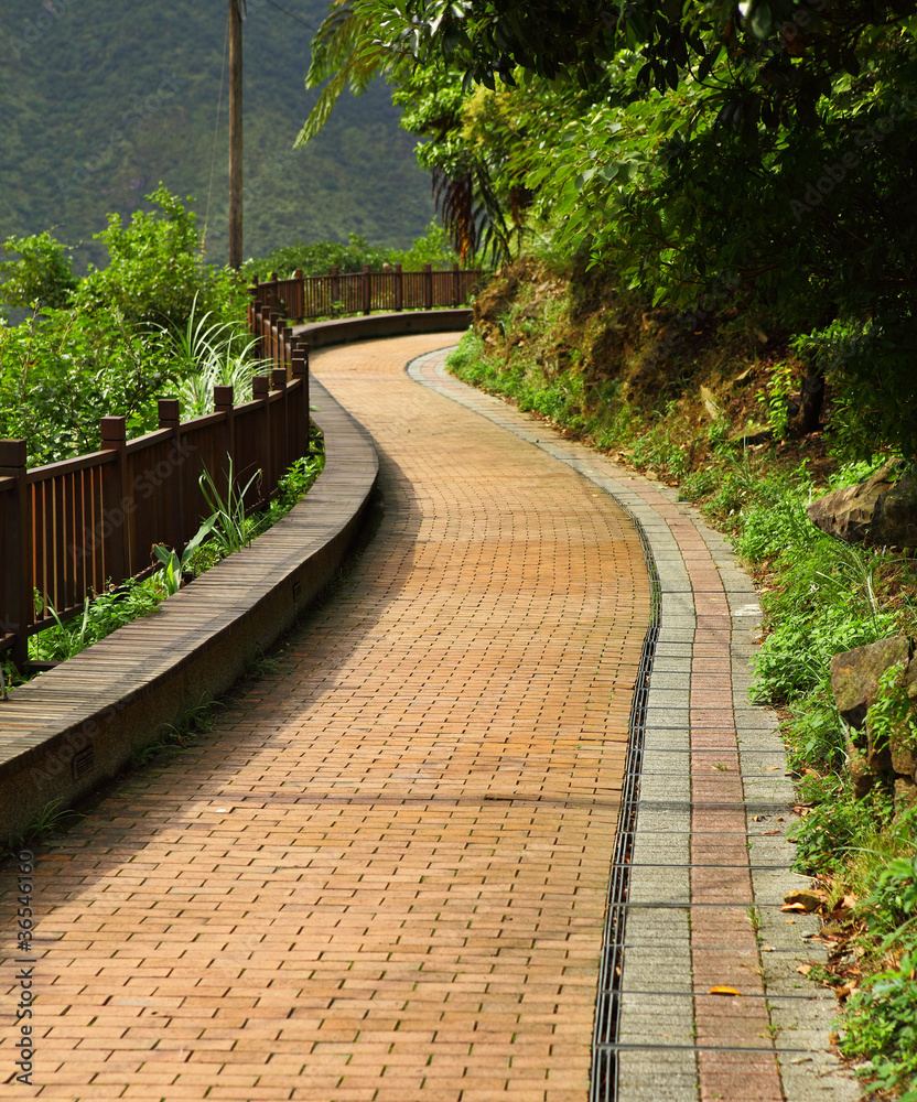 path in country side