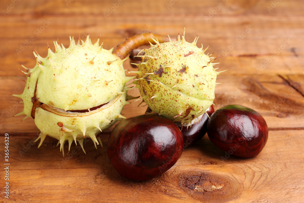 green and brown chestnuts on wooden background green and brown chestnuts on wooden background