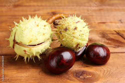 green and brown chestnuts on wooden background