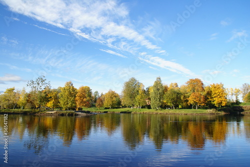 River and trees, a piece of nature in town