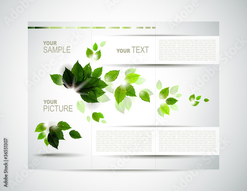 eco brochure with branch of fresh green leaves