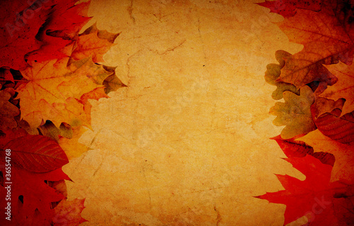 Autumn frame from leaves