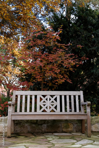 Teak Wood Bench in Fall Portrait