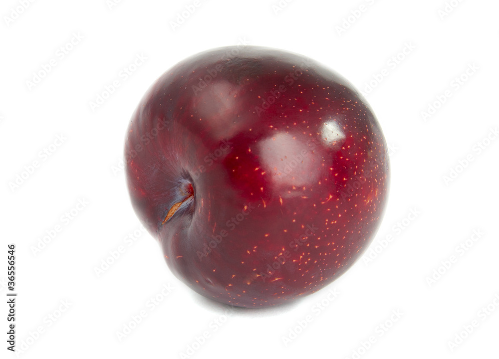 plum plum