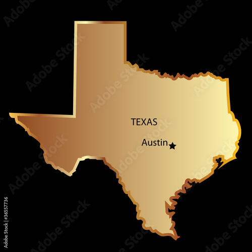 Gold texas state map photo