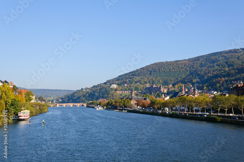 Castle and the Old Town in Heidelberg  Germany