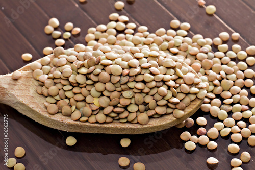 Lenticchie - Lentils - Lens culinaris