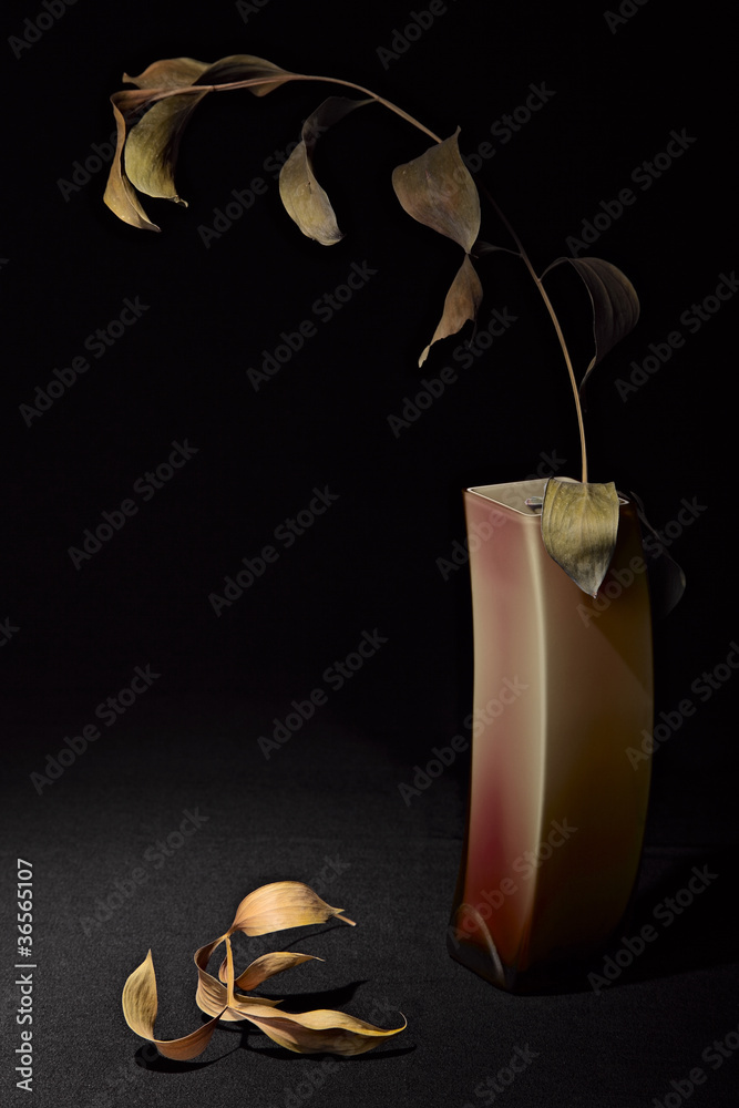 dry leaves