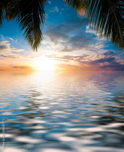 Fototapeta Naklejka Na Ścianę i Meble -  Calm Ocean Under Palm