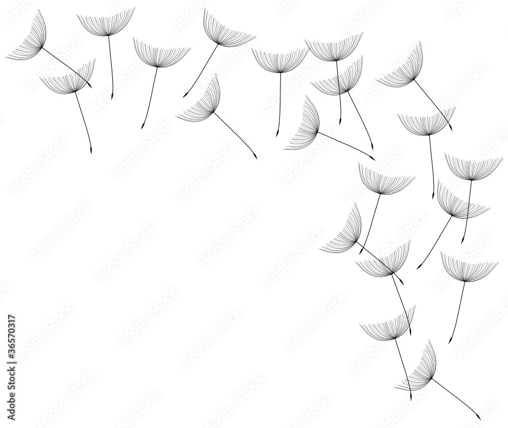 Pusteblume