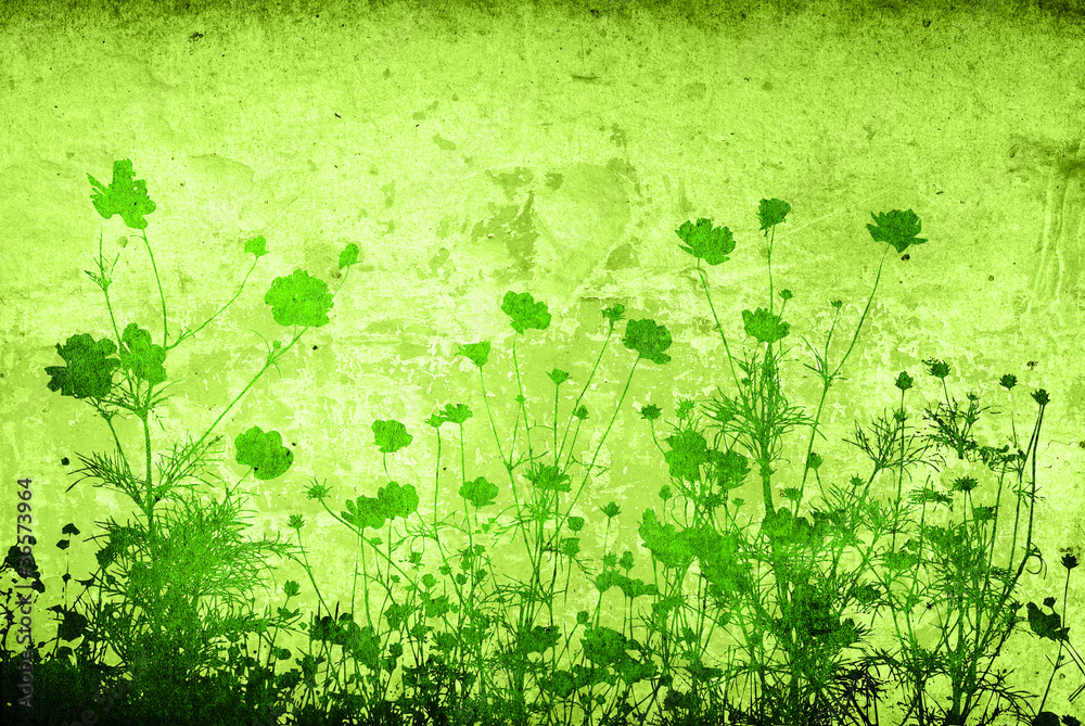 Fototapeta premium floral style textures with space for text or image
