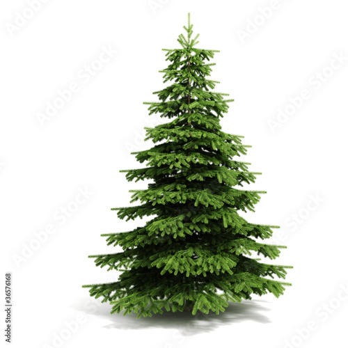 3d Christmas tree ready to decorate - on white background