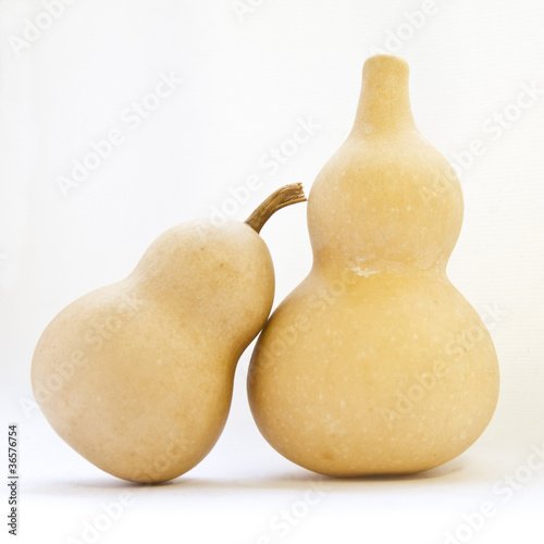 two calabash against a white background