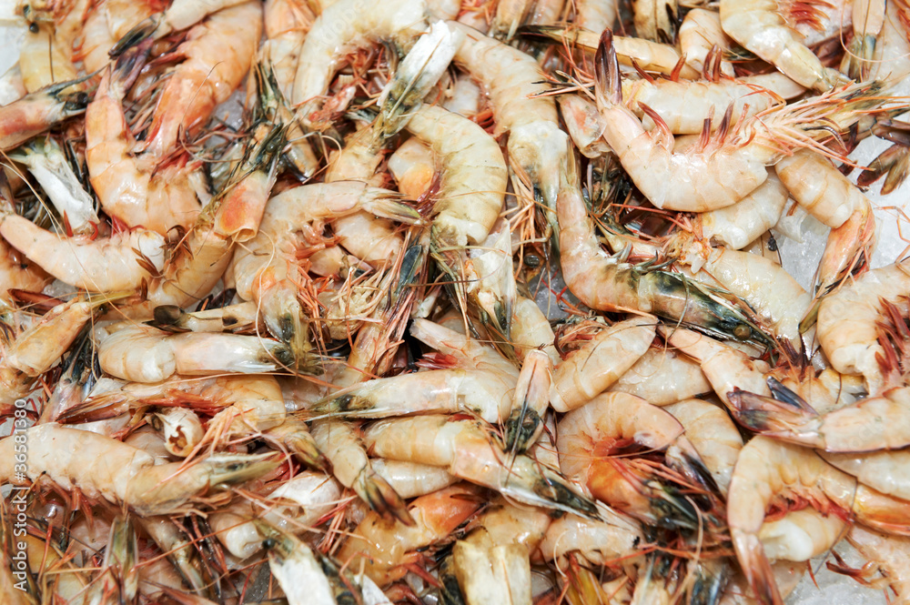 fresh frozen seafood shrimps